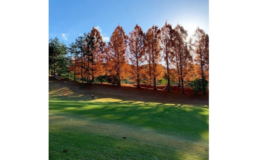ゴルフ チケット「ゴルフプレー券（平日・土日祝）」1枚｜スポーツ　レジャー 接待　イベント 友人 団体 ペア カップル 会社 個人 愛媛 久万高原町 久万カントリークラブ