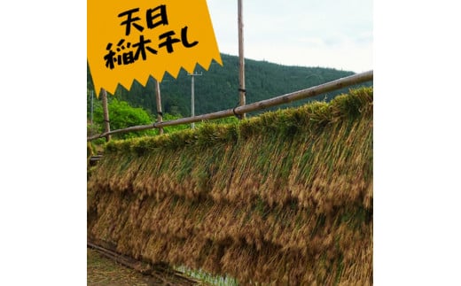 久万高原町 仕七川自慢 もち麦 7.6kg ｜ 雑穀 健康志向 腸活 食物繊維 ダイエット お取り寄せ 自然 愛媛県 仕七川地区の清流