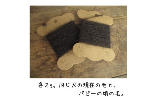 犬毛糸　オーダーメイド！あなたの大切なペットの毛が世界で1つの毛糸になります(約2～6g作成) | ペット オリジナル 愛犬 メモリアル オーナーグッズ 記念品