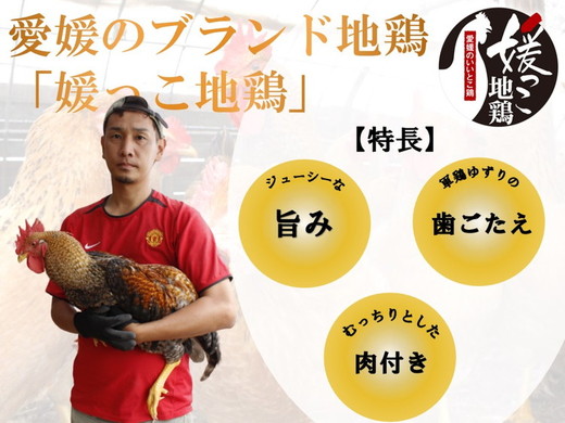 久万高原町産！愛媛ブランド地鶏「媛っこ地鶏」 1羽まるごと！平飼い ｜ モモ ムネ ササミ 内臓 手羽元 手羽先 もも むね 胸 ささみ 鶏肉 鳥肉　久万山養鶏研究所 ※離島への配送不可