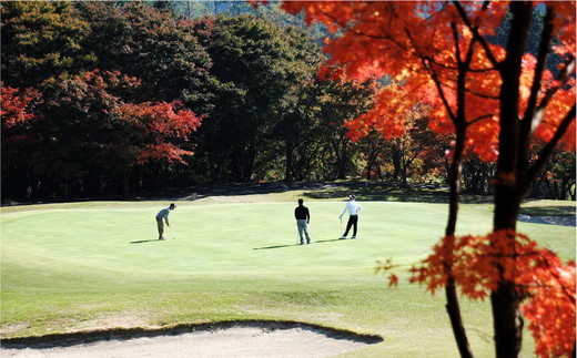 ゴルフプレー クーポン券（12,000円分）
