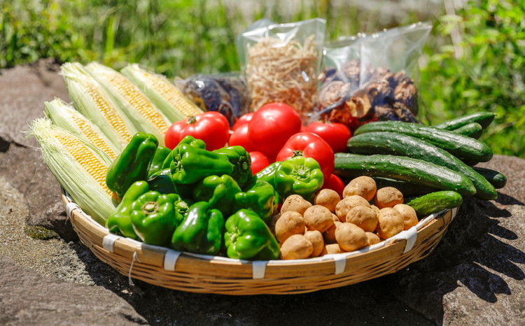 【年2回夏秋定期便】久万高原やさいギュギュっとBOX | 愛媛県 久万高原町 道の駅 みかわ 産地直送 お試し 新鮮 もぎたて 旬の味覚 定期便 夏 7月 秋 11月 発送 年2回 ※離島への配送不可