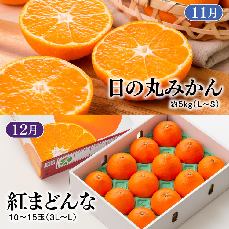 【定期便】【愛媛県共通返礼品】愛媛のかんきつ定期便（全6回）（日の丸みかん・紅まどんな・伊予柑・不知火・せとか・河内晩柑) ｜ みかん 蜜柑 日の丸みかん 紅まどんな 伊予柑 不知火 デコポン せとか ※2025年11月下旬～2026年4月下旬頃に毎月1回発送