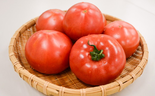 久万高原トマト 4kg 朝露に輝く 清流育ち【桃太郎トマト】久万高原町｜特別栽培 エコえひめの認証 トマト とまと トマト産地 産地直送 ソース ジュース 自然栽培 野菜 安心 安全 旬 贅沢 酸味 甘味 料理 旨み 風味豊か スープ 煮込み 新鮮 アレンジ 美味しい 人気 おすすめ 贈答 ギフト プレゼント 愛媛 ※離島への配送不可 ※2025年7月中旬頃より順次発送予定