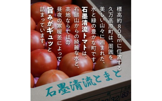 トマト 家庭用 そのままでも 美味しい 【石墨清流トマト】糖度9～11度 久万高原町　※離島への配送不可 ※2025年7月下旬頃より順次発送予定