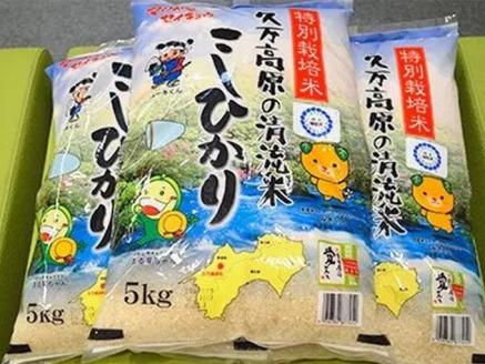 特別栽培米「久万高原清流米」令和6年コシヒカリ(5kg)×3袋セット｜米 お米 白米 ご飯 ごはん 白ご飯 ライス 自然栽培 コシヒカリ こしひかり 食物繊維 米作り 銘柄 贅沢 おすすめ 料理 香り 特別栽培米 減農薬 低化学肥料 品質 美味しい 食生活 健康食品 安心 安全 食卓 食事 ギフト 愛媛 久万高原町