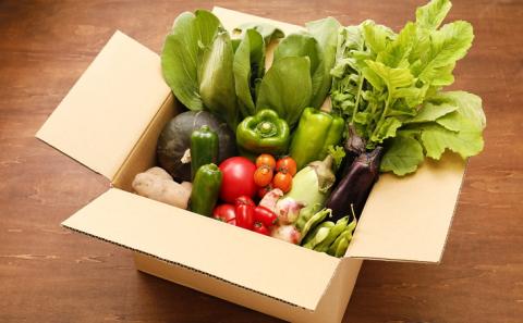 【定期便】【自然豊かな面河の旬の恵みをお届け！】おもご季節の贈り物定期便（野菜・加工品6回コース） ※着日指定不可