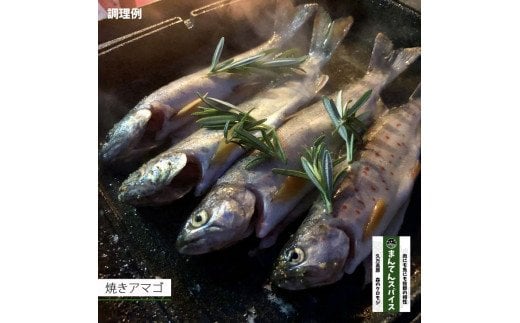 高原からの贈り物「まんてんスパイス 森のクロモジ」｜調味料 オリジナルブレンド ブレンドスパイス キャンプ飯 ※着日指定不可 ※離島への配送不可