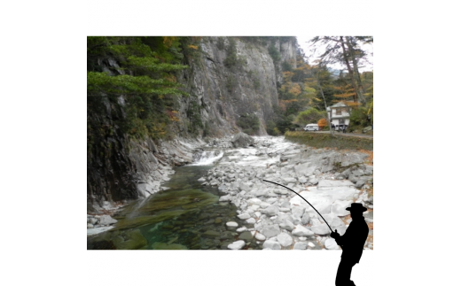 アウトドア イベント 体験 「面河川の鑑札（遊漁券）：石鎚山から仁淀川に繋がる清流 ”面河川” での渓流釣り（腕章B）」｜家族 旅行 男の子 女の子 夏休み 長期休暇 愛媛 久万高原町