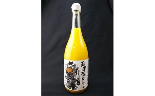 【愛媛県共通返礼品】愛媛県産みかんジュース2本セット