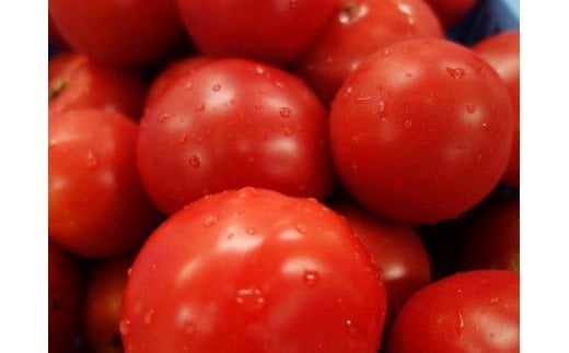 トマト ジュース「赤の元気」180ml×8本 セット｜贈答 ギフト プレゼント 野菜 美容 健康 愛媛 久万高原町