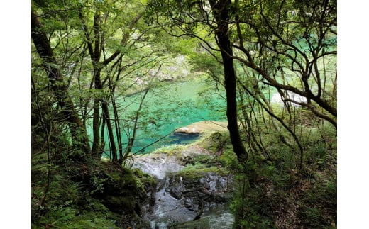 売り切れ【道の駅さんさん】久万高原オリジナルギフト【松】◇≪ギフト ギフトセット 贈り物 詰め合わせ 自宅用 特産品 名産品 ご当地 オリジナル 贈答品≫※着日指定不可
