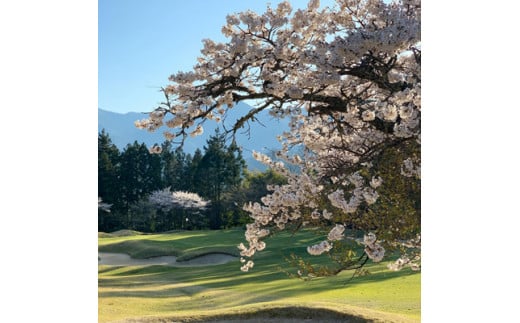 ゴルフ チケット「ゴルフプレー券（平日・土日祝）」2枚｜スポーツ　レジャー 接待　イベント 友人 団体 ペア カップル 会社 個人 愛媛 久万高原町 久万カントリークラブ