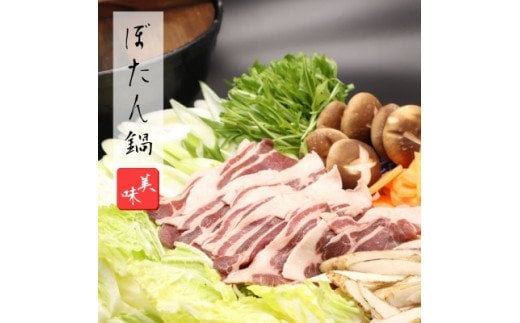 ジビエ「イノシシ肉 部位別食べ比べセット(800g)」｜BBQ アウトドア キャンプ ヘルシー 猪肉 モモ カタ ばら ロース バーベキュー 愛媛 久万高原町 ※離島への配送不可