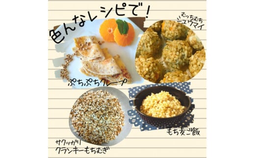 久万高原町 仕七川自慢 もち麦 7.6kg ｜ 雑穀 健康志向 腸活 食物繊維 ダイエット お取り寄せ 自然 愛媛県 仕七川地区の清流