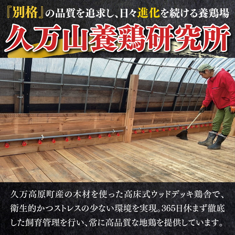媛っこ地鶏 すき焼き用セット（3～4人前）｜ 割下 鶏油 モモ ムネ 愛媛県 久万高原町 久万山養鶏研究所 地鶏 鶏肉 肉 食感 旨み ヘルシー 和風 鍋 すき焼き 鶏すき お取り寄せ グルメ 国産 冷蔵 ※北海道・沖縄・離島への配送不可