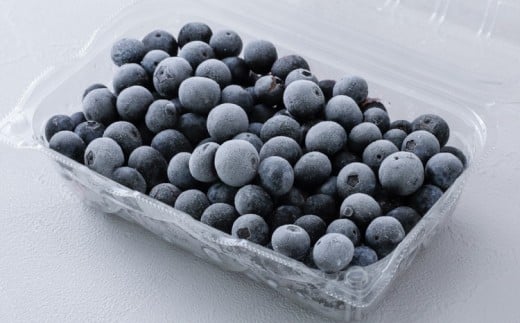 冷凍 ブルーベリー 大粒 1kg (500g×2パック) 5種類ミックス | 国産 愛媛県 久万高原町 農園直送 栽培期間中 農薬不使用 果実 フルーツ 果物 くだもの 朝食 ヨーグルト スムージー ビタミンC 食物繊維 長期保存