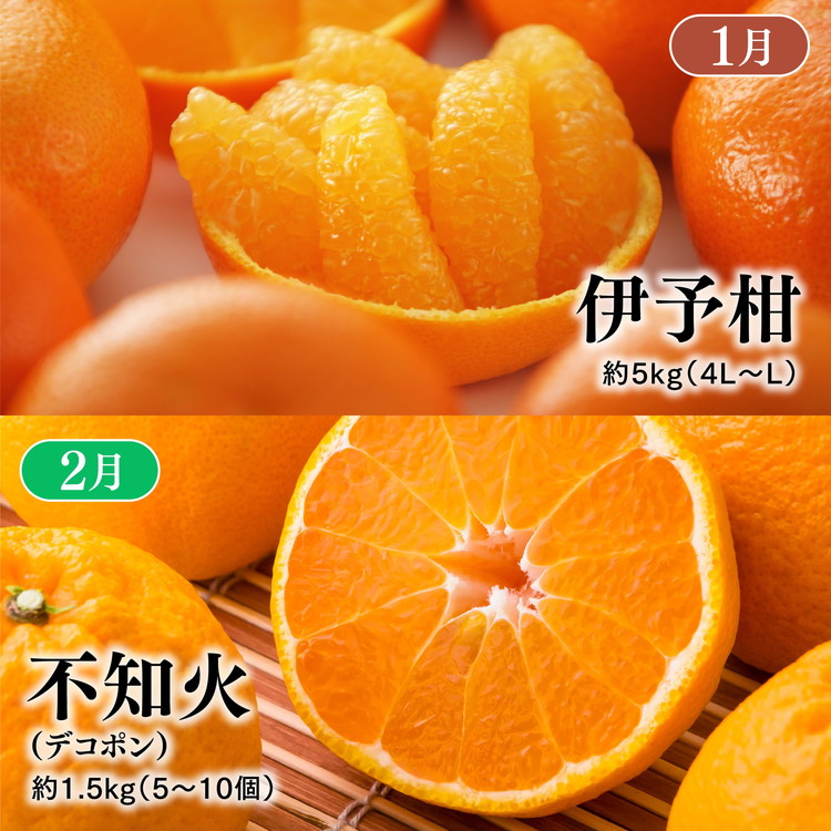 【定期便】【愛媛県共通返礼品】愛媛のかんきつ定期便（全6回）（日の丸みかん・紅まどんな・伊予柑・不知火・せとか・河内晩柑) ｜ みかん 蜜柑 日の丸みかん 紅まどんな 伊予柑 不知火 デコポン せとか ※2025年11月下旬～2026年4月下旬頃に毎月1回発送