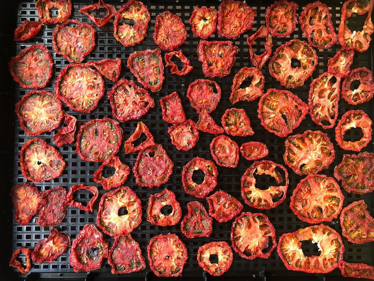 ドライトマト40g 旨味濃縮20倍｜トマト とまと ドライトマト 自然栽培 野菜 カレー トマトソース つまみ 濃縮 エコ栽培 安心 桃太郎トマト 酸味 甘味 乾燥 清流 料理 農園 トマト農園 旨み サンドイッチ サンドウィッチ 新鮮 煮込み 煮込み料理 アレンジ お酒のつまみ 美味しい 人気 ギフト プレゼント 自然 升田農園 愛媛 久万高原町