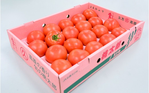 久万高原トマト 4kg 朝露に輝く 清流育ち【桃太郎トマト】久万高原町｜特別栽培 エコえひめの認証 トマト とまと トマト産地 産地直送 ソース ジュース 自然栽培 野菜 安心 安全 旬 贅沢 酸味 甘味 料理 旨み 風味豊か スープ 煮込み 新鮮 アレンジ 美味しい 人気 おすすめ 贈答 ギフト プレゼント 愛媛 ※離島への配送不可 ※2025年7月中旬頃より順次発送予定