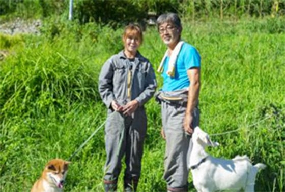 【R7年産新米】石墨清流米 特別栽培米 コシヒカリ 5kg ｜ 減化学肥料 減農薬 令和7年度産 愛媛県久万高原町 米 ※離島への配送不可 ※2025年10月上旬頃より順次発送予定