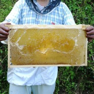 【百花蜜】天然 はちみつ 高原の恵み「山の蜜」1kg ｜ 国産 蜂蜜 愛媛県 久万高原町 純粋 100% 非加熱 無調整 採れたて 高糖度 ハニー 朝食 トースト ヨーグルト 健康食 栄養豊富 手土産 お取り寄せ ナチュラル 食品 特産品 産地直送