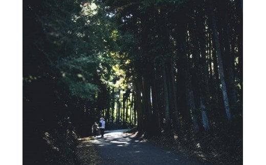 高原からの贈り物「伊予レザークリーム（いよかん）」3個セット≪レザー レザーケア レザークリーナー お手入れ メンテナンス ツヤだし 抗菌 革 鞄 革ソファ 革製品 蜜蝋 ミツロウ≫※着日指定不可