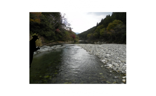アウトドア イベント 体験 「面河川の鑑札（遊漁券）：石鎚山から仁淀川に繋がる清流 ”面河川” での渓流釣り（腕章B）」｜家族 旅行 男の子 女の子 夏休み 長期休暇 愛媛 久万高原町