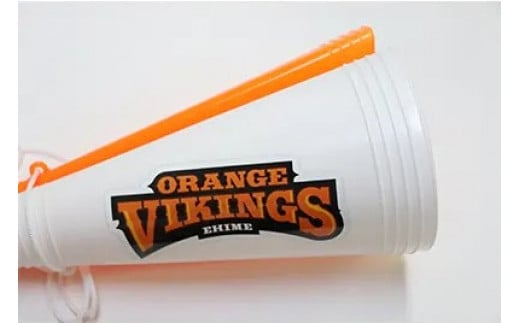 【愛媛県共通返礼品】応援の必需品!バイクス応援セット(タオル・メガホン・ペンライト)