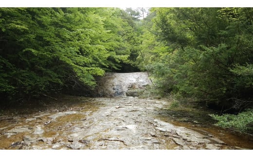 売り切れ【道の駅さんさん】久万高原オリジナルギフト【松】◇≪ギフト ギフトセット 贈り物 詰め合わせ 自宅用 特産品 名産品 ご当地 オリジナル 贈答品≫※着日指定不可