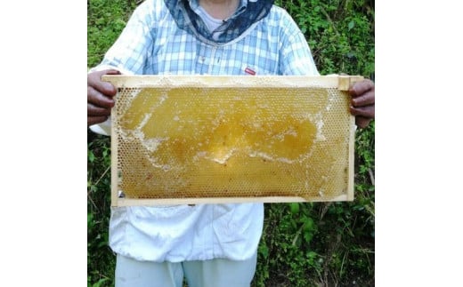 【百花蜜】天然 はちみつ 高原の恵み「山の蜜」500g ｜ 国産 蜂蜜 愛媛県 久万高原町 純粋 100% 非加熱 無調整 採れたて 高糖度 ハニー 朝食 トースト ヨーグルト 健康食 栄養豊富 手土産 お取り寄せ ナチュラル 食品 特産品 産地直送