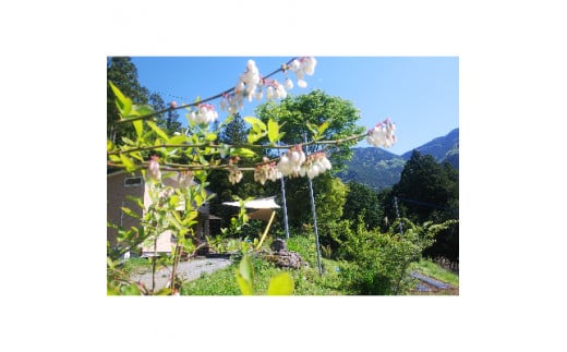 【フランス菓子の店　ルタンナチュレル】　焼き菓子の詰め合わせ