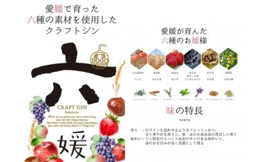 水口酒造 道後ジン「六媛」500ml