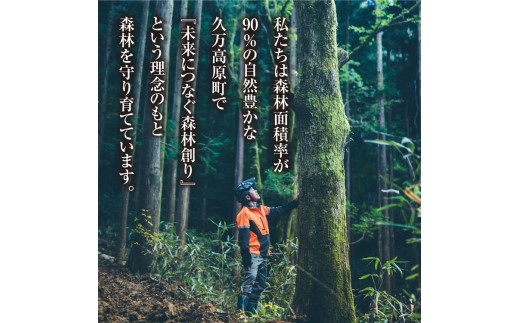 久万高原町産 焚き付け 広葉樹ミックス薪 約10kg ｜ 天然乾燥 長持ち 久万高原町 ナラ サクラ クヌギ キャンプ アウトドア 暖炉 焚火 冬 薪ストーブ 愛媛 小分け