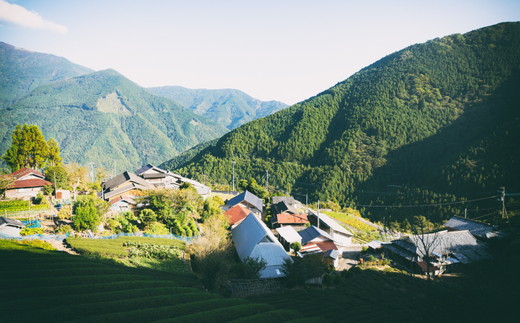 久万高原バウム 2個◇ ｜ スイーツ お菓子 たまご はちみつ お土産 おもたせ 手土産 洋菓子 バームクーヘン おやつ デザート 林業のまち お取り寄せグルメ 人気 セット ギフト プレゼント