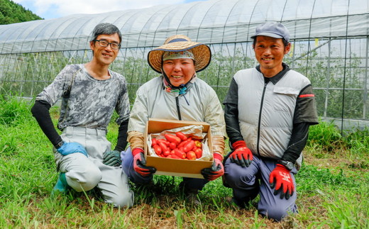イタリアントマト『リゼルバ』2kg＜先行予約＞ | 愛媛県 久万高原町 イタリアン トマト リゼルバ サンマルツァーノ 料理 ピザ パスタ ソース用 スープ 煮込み用 加熱用 炒め物 サラダ ※北海道・沖縄・離島への配送不可 ※2025年7月下旬頃より順次発送予定