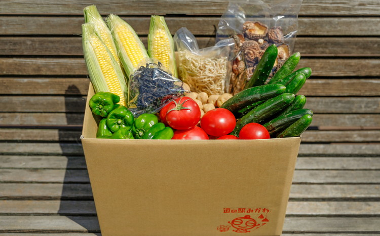 【年2回夏秋定期便】久万高原やさいギュギュっとBOX | 愛媛県 久万高原町 道の駅 みかわ 産地直送 お試し 新鮮 もぎたて 旬の味覚 定期便 夏 7月 秋 11月 発送 年2回 ※離島への配送不可