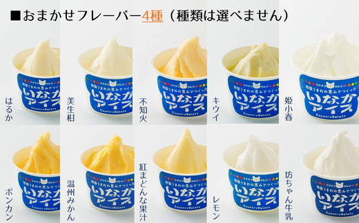 愛媛のご当地アイスセット（9種×2個 計18個入）｜いなかアイス アイス アイスクリーム ジェラート スイーツ 季節 厳選 紅まどんな レモン 姫小春 坊ちゃん牛乳 キウイ 温州みかん 不知火 ポンカン はるか 美生柑 フレーバー 久万茶 ブルーベリー いちじく いちご 紅茶 こだわり こだわり素材 ご褒美 贅沢 人気 おすすめ デザート ご当地グルメ 定番 お中元 お歳暮 贈答 贈り物 ギフト ※離島への配送不可