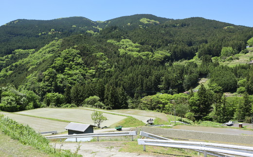 コシヒカリ 精米5kg 令和7年産 ｜ 久万高原町 米 新米 お米 こめ コメ 愛媛 ※2025年9月下旬頃より順次発送予定 ※離島への配送不可