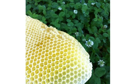 【百花蜜】天然 はちみつ 高原の恵み「山の蜜」2.4kg ｜ 国産 蜂蜜 愛媛県 久万高原町 純粋 100% 非加熱 無調整 採れたて 高糖度 ハニー 朝食 トースト ヨーグルト 健康食 栄養豊富 手土産 お取り寄せ ナチュラル 食品 特産品 産地直送