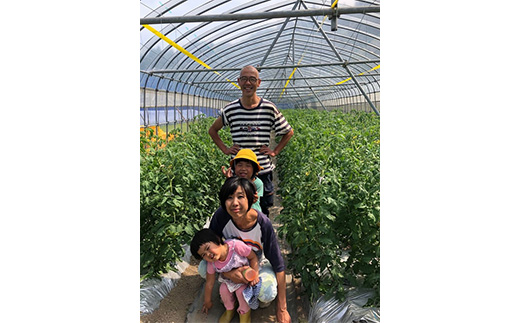 トマト 加工 食品「トマト農家のドライトマトのハーブオイル漬け」｜野菜 ドライトマト 農家直送 家庭用 プレゼント ギフト ハーブ オイル 愛媛 久万高原町