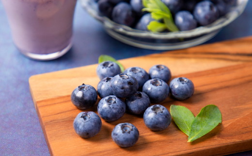 【自然栽培】農園こだわりのブルーベリージャム3個セット ｜ 愛媛県 久万高原町 廣瀬農園 高原栽培 国産 フルーツ ベリー ジャム 手作り 果肉感 果実たっぷり スムージー ヨーグルト 朝食 ビタミンC 食物繊維 プチギフト プレゼント お菓子作り ナチュラル 砂糖控えめ