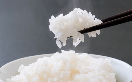 コシヒカリ 精米5kg 令和7年産 ｜ 久万高原町 米 新米 お米 こめ コメ 愛媛 ※2025年9月下旬頃より順次発送予定 ※離島への配送不可