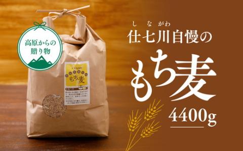 久万高原町 仕七川自慢 もち麦 4.4kg ｜ 雑穀 健康志向 腸活 食物繊維 ダイエット お取り寄せ 自然 愛媛県 仕七川地区の清流