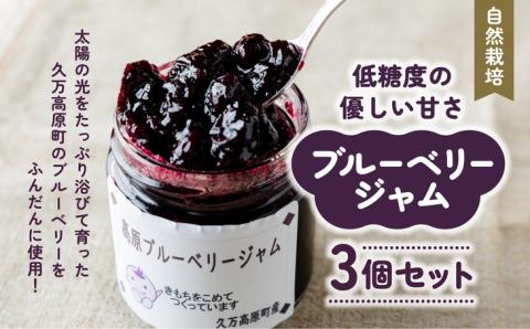 【自然栽培】農園こだわりのブルーベリージャム3個セット ｜ 愛媛県 久万高原町 廣瀬農園 高原栽培 国産 フルーツ ベリー ジャム 手作り 果肉感 果実たっぷり スムージー ヨーグルト 朝食 ビタミンC 食物繊維 プチギフト プレゼント お菓子作り ナチュラル 砂糖控えめ