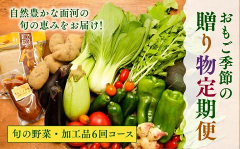 【定期便】【自然豊かな面河の旬の恵みをお届け！】おもご季節の贈り物定期便（野菜・加工品6回コース） ※着日指定不可