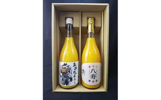 【愛媛県共通返礼品】愛媛県産みかんジュース2本セット