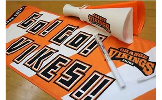 【愛媛県共通返礼品】応援の必需品!バイクス応援セット(タオル・メガホン・ペンライト)