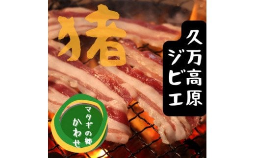 ジビエ「イノシシ肉 部位別食べ比べセット(800g)」｜BBQ アウトドア キャンプ ヘルシー 猪肉 モモ カタ ばら ロース バーベキュー 愛媛 久万高原町 ※離島への配送不可