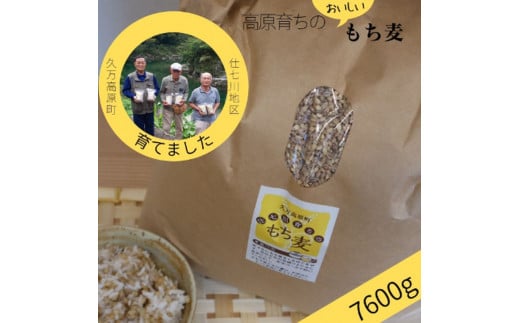 久万高原町 仕七川自慢 もち麦 7.6kg ｜ 雑穀 健康志向 腸活 食物繊維 ダイエット お取り寄せ 自然 愛媛県 仕七川地区の清流